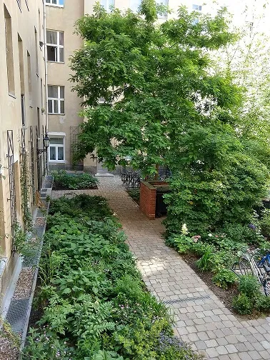 2-Zimmer-Wohnung in Berlin Prenzlauer Berg- unmöbliert — photo 1